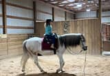 Riding lessons ,Classical Dressage